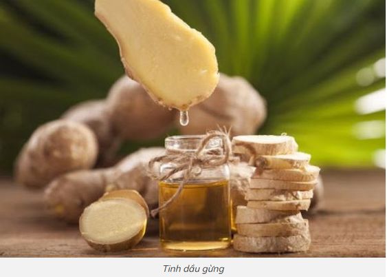Massage bằng tinh dầu gừng - Sự kết hợp hoàn hảo giữa cảm nhận thư giãn và lợi ích cho sức khỏe